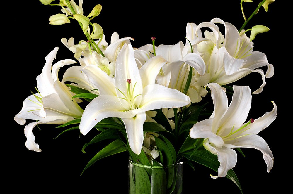Sending Flowers To The Bereaved