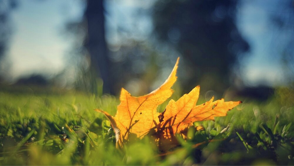 The Importance Of Saying Good-Bye